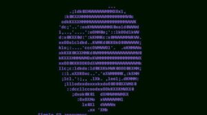 Ethical Hacking Course